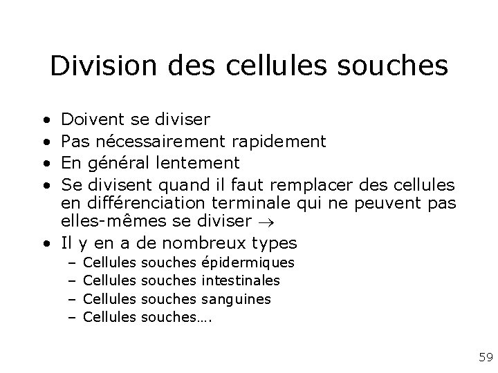 Division des cellules souches • • Doivent se diviser Pas nécessairement rapidement En général Division des cellules souches • • Doivent se diviser Pas nécessairement rapidement En général