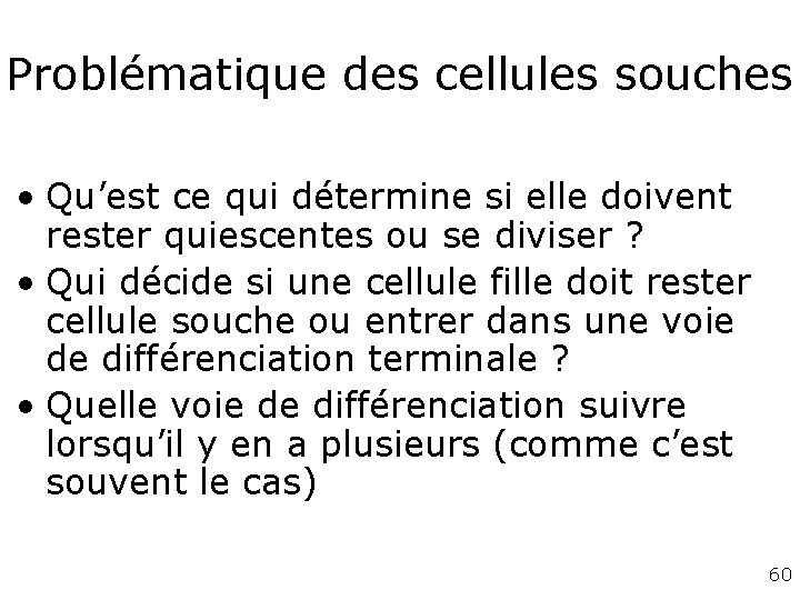 Problématique des cellules souches • Qu’est ce qui détermine si elle doivent rester quiescentes Problématique des cellules souches • Qu’est ce qui détermine si elle doivent rester quiescentes