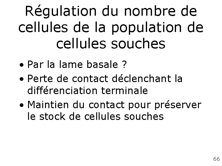 Régulation du nombre de cellules de la population de cellules souches • Par la Régulation du nombre de cellules de la population de cellules souches • Par la