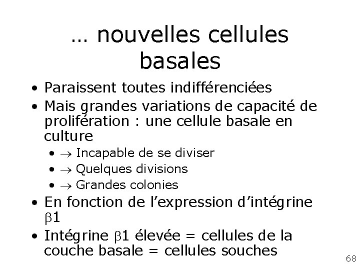 … nouvelles cellules basales • Paraissent toutes indifférenciées • Mais grandes variations de capacité … nouvelles cellules basales • Paraissent toutes indifférenciées • Mais grandes variations de capacité