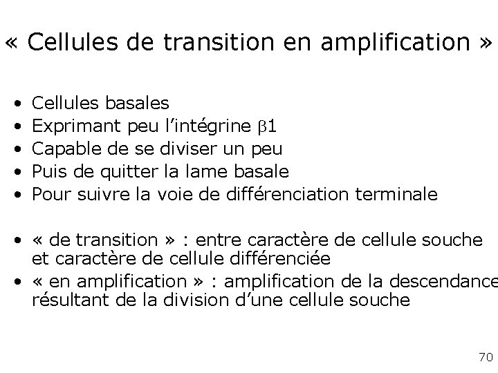 « Cellules de transition en amplification » • • • Cellules basales Exprimant « Cellules de transition en amplification » • • • Cellules basales Exprimant