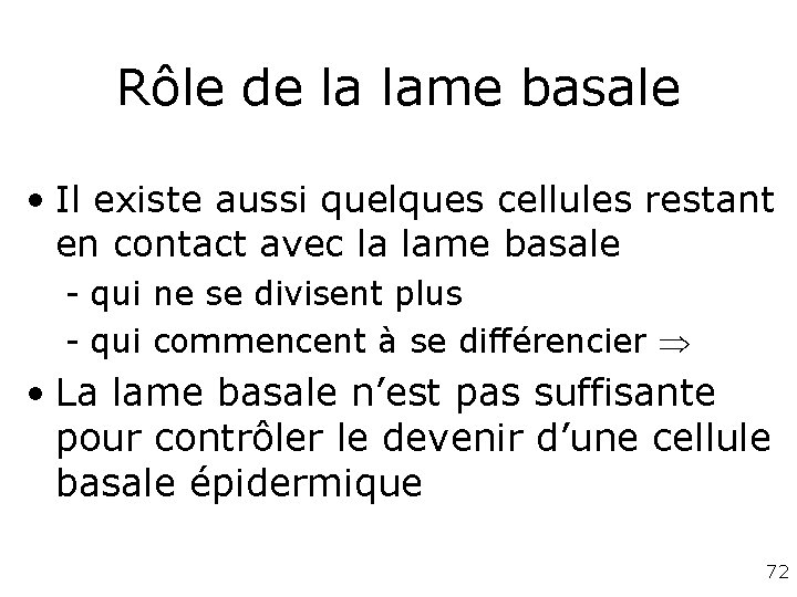Rôle de la lame basale • Il existe aussi quelques cellules restant en contact Rôle de la lame basale • Il existe aussi quelques cellules restant en contact
