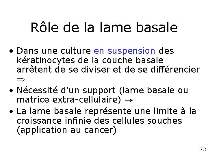 Rôle de la lame basale • Dans une culture en suspension des kératinocytes de Rôle de la lame basale • Dans une culture en suspension des kératinocytes de