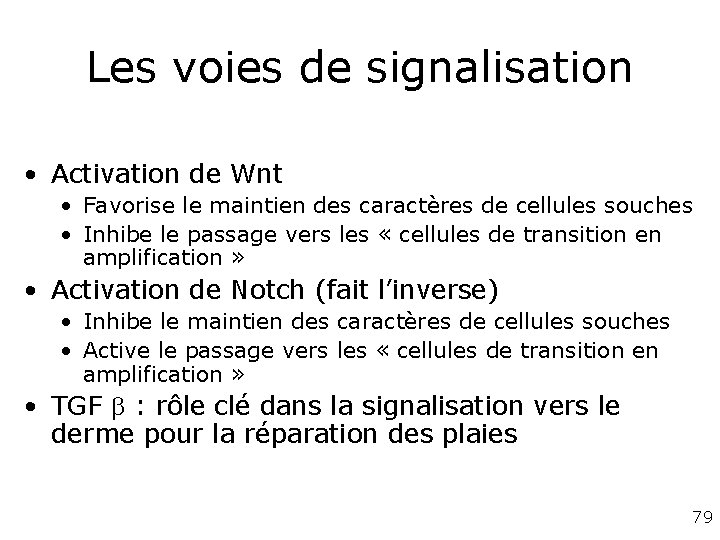 Les voies de signalisation • Activation de Wnt • Favorise le maintien des caractères Les voies de signalisation • Activation de Wnt • Favorise le maintien des caractères