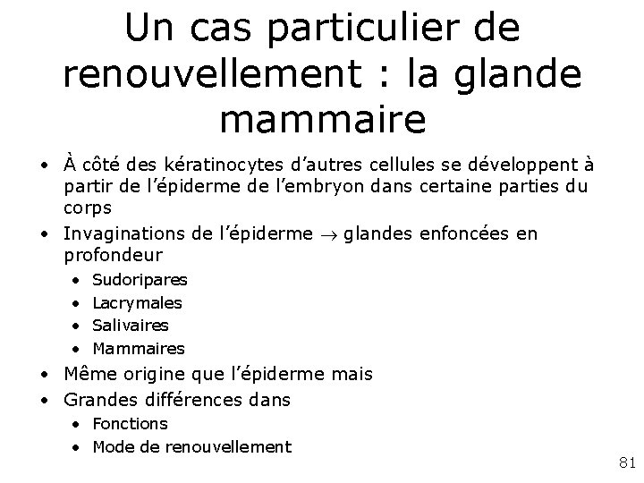 Un cas particulier de renouvellement : la glande mammaire • À côté des kératinocytes Un cas particulier de renouvellement : la glande mammaire • À côté des kératinocytes