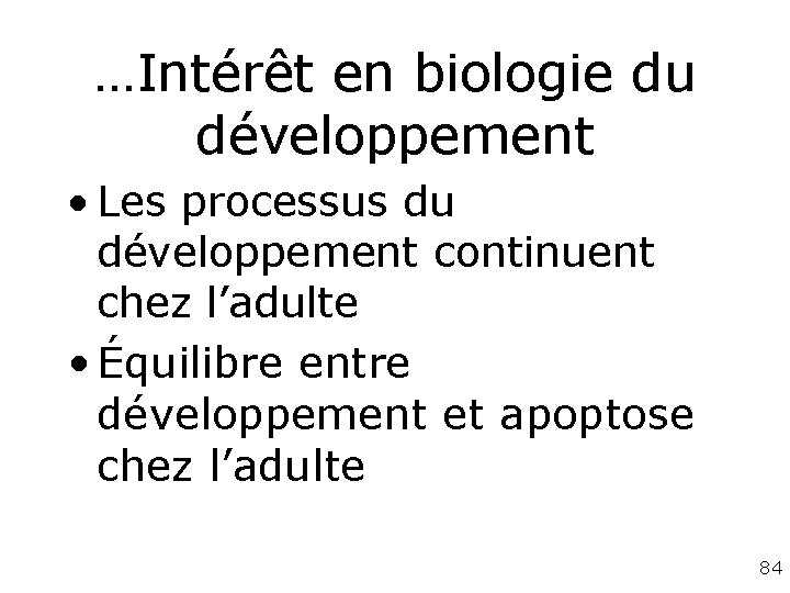…Intérêt en biologie du développement • Les processus du développement continuent chez l’adulte • …Intérêt en biologie du développement • Les processus du développement continuent chez l’adulte •