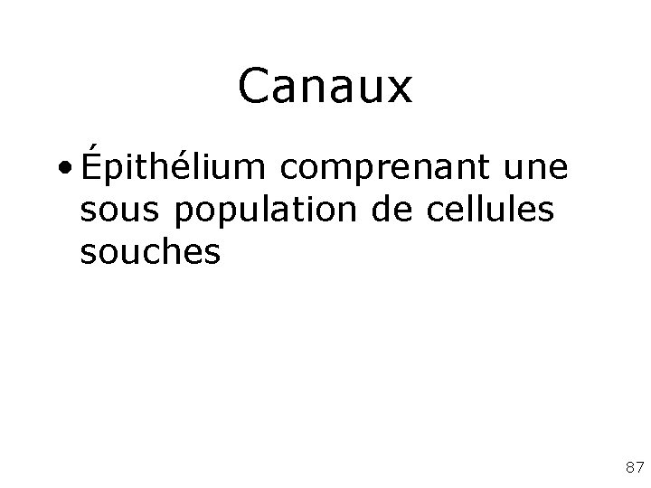 Canaux • Épithélium comprenant une sous population de cellules souches 87 Canaux • Épithélium comprenant une sous population de cellules souches 87