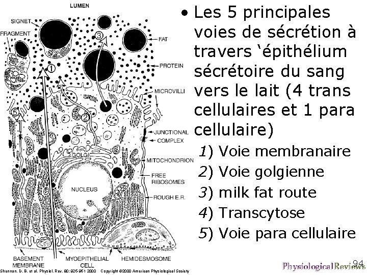 D. B. Shennan and M. Peaker Transport of Milk Constituents by the Mammary Gland D. B. Shennan and M. Peaker Transport of Milk Constituents by the Mammary Gland
