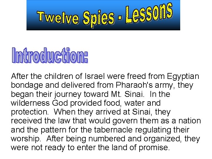 After the children of Israel were freed from Egyptian bondage and delivered from Pharaoh's