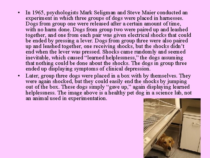  • In 1965, psychologists Mark Seligman and Steve Maier conducted an experiment in