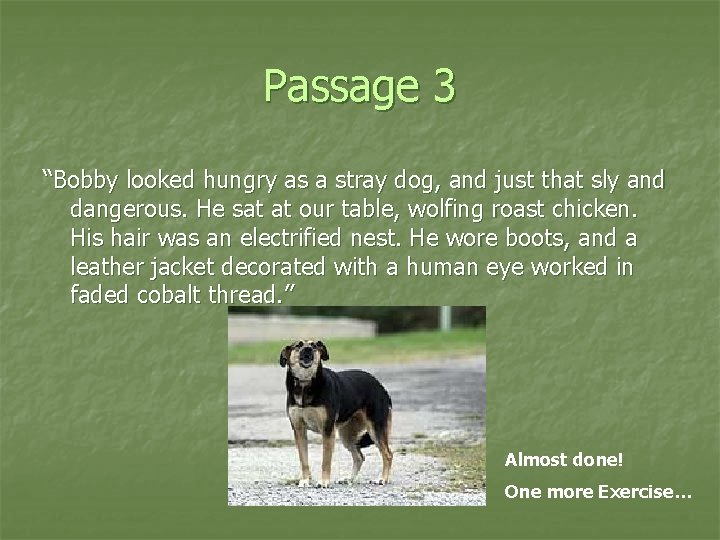 Passage 3 “Bobby looked hungry as a stray dog, and just that sly and