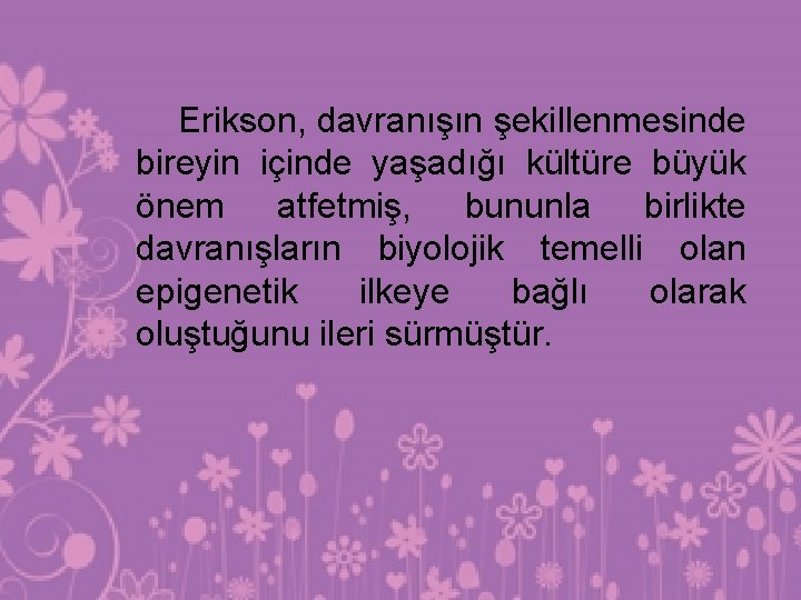 Erikson, davranışın şekillenmesinde bireyin içinde yaşadığı kültüre büyük önem atfetmiş, bununla birlikte davranışların biyolojik Erikson, davranışın şekillenmesinde bireyin içinde yaşadığı kültüre büyük önem atfetmiş, bununla birlikte davranışların biyolojik