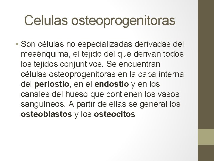 Celulas osteoprogenitoras • Son células no especializadas derivadas del mesénquima, el tejido del que Celulas osteoprogenitoras • Son células no especializadas derivadas del mesénquima, el tejido del que