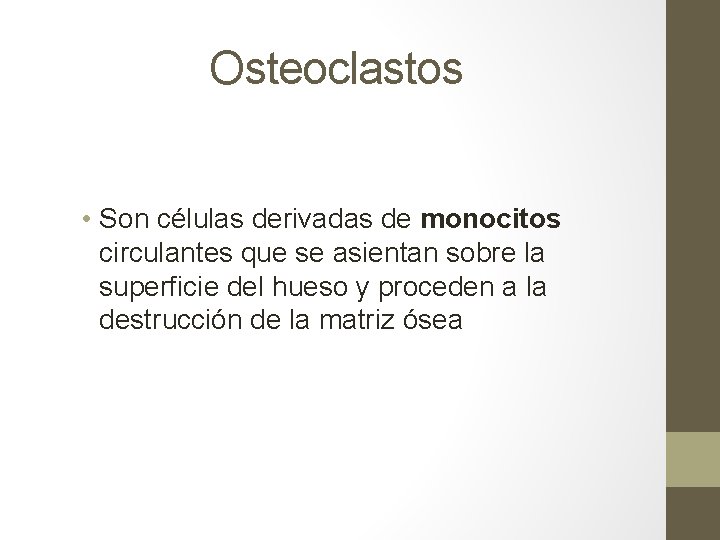 Osteoclastos • Son células derivadas de monocitos circulantes que se asientan sobre la superficie Osteoclastos • Son células derivadas de monocitos circulantes que se asientan sobre la superficie
