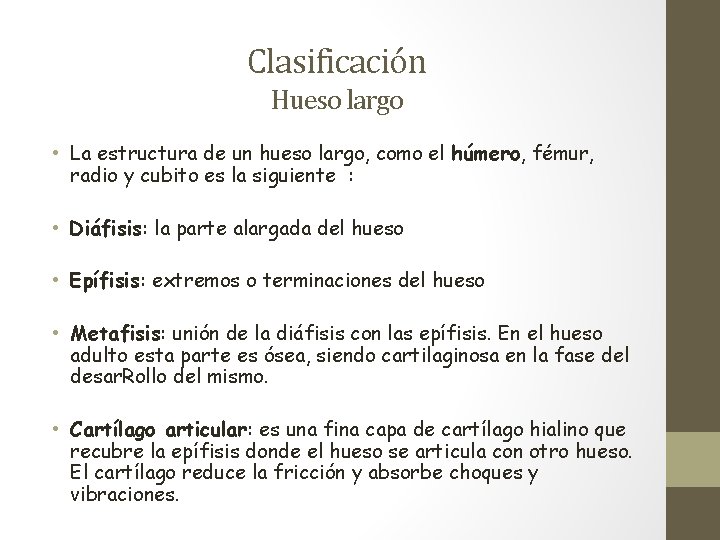 Clasificación Hueso largo • La estructura de un hueso largo, como el húmero, fémur, Clasificación Hueso largo • La estructura de un hueso largo, como el húmero, fémur,