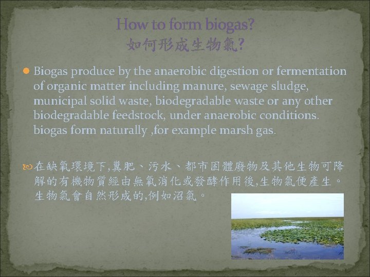 How to form biogas? 如何形成生物氣? l Biogas produce by the anaerobic digestion or fermentation