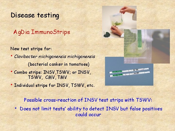 Disease testing Ag. Dia Immuno. Strips New test strips for: • Clavibacter michiganensis (bacterial