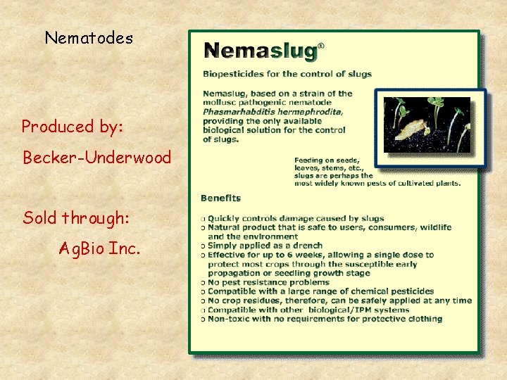 Nematodes Produced by: Becker-Underwood Sold through: Ag. Bio Inc. 