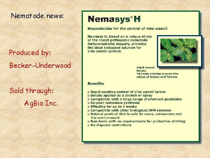 Nematode news: Produced by: Becker-Underwood Sold through: Ag. Bio Inc. 