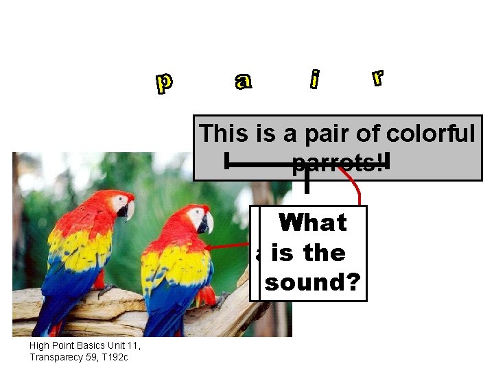 This is a pair of colorful parrots! What are is the letters sound? ?