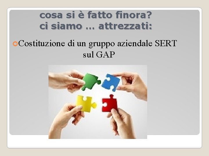 cosa si è fatto finora? ci siamo … attrezzati: Costituzione di un gruppo aziendale