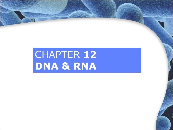 CHAPTER 12 DNA & RNA CHAPTER 12 DNA & RNA