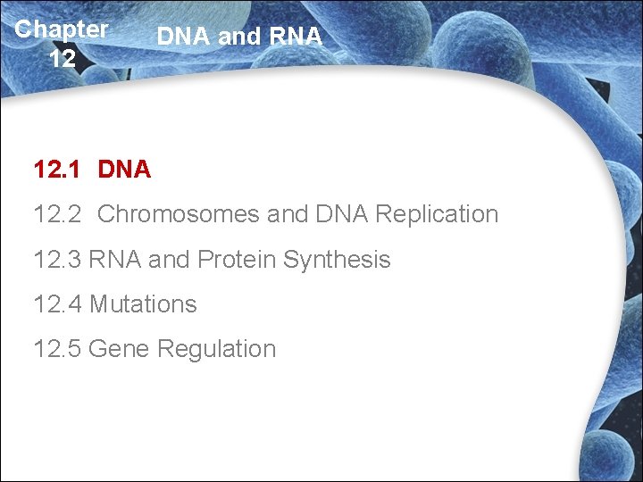 Chapter 12 DNA and RNA 12. 1 DNA 12. 2 Chromosomes and DNA Replication Chapter 12 DNA and RNA 12. 1 DNA 12. 2 Chromosomes and DNA Replication