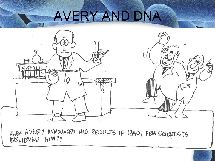 AVERY AND DNA AVERY AND DNA