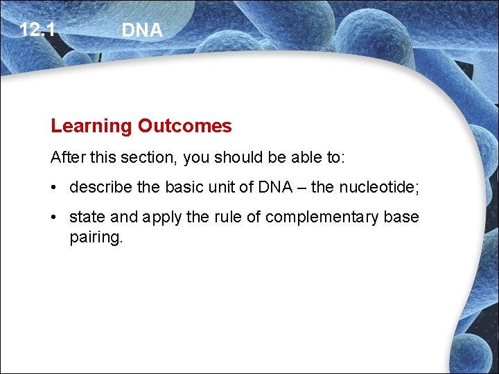 12. 1 DNA Learning Outcomes After this section, you should be able to: • 12. 1 DNA Learning Outcomes After this section, you should be able to: •