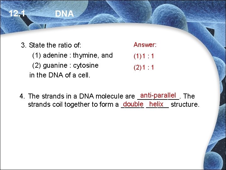 12. 1 DNA 3. State the ratio of: (1) adenine : thymine, and (2) 12. 1 DNA 3. State the ratio of: (1) adenine : thymine, and (2)