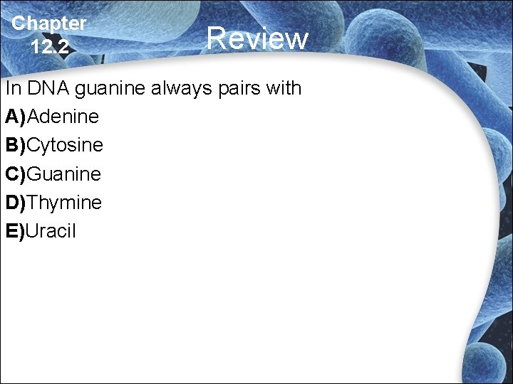 Chapter 12. 2 Review In DNA guanine always pairs with A)Adenine B)Cytosine C)Guanine D)Thymine Chapter 12. 2 Review In DNA guanine always pairs with A)Adenine B)Cytosine C)Guanine D)Thymine