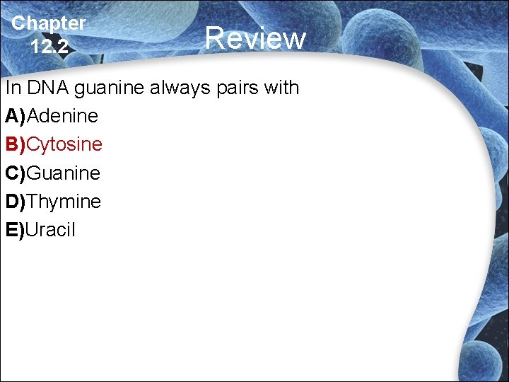 Chapter 12. 2 Review In DNA guanine always pairs with A)Adenine B)Cytosine C)Guanine D)Thymine Chapter 12. 2 Review In DNA guanine always pairs with A)Adenine B)Cytosine C)Guanine D)Thymine