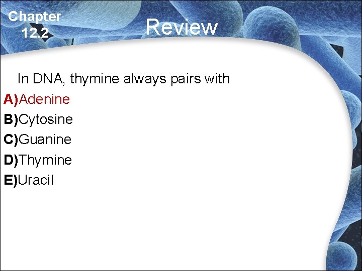 Chapter 12. 2 Review In DNA, thymine always pairs with A)Adenine B)Cytosine C)Guanine D)Thymine Chapter 12. 2 Review In DNA, thymine always pairs with A)Adenine B)Cytosine C)Guanine D)Thymine