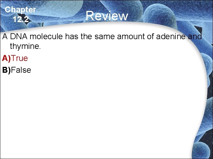 Chapter 12. 2 Review A DNA molecule has the same amount of adenine and Chapter 12. 2 Review A DNA molecule has the same amount of adenine and