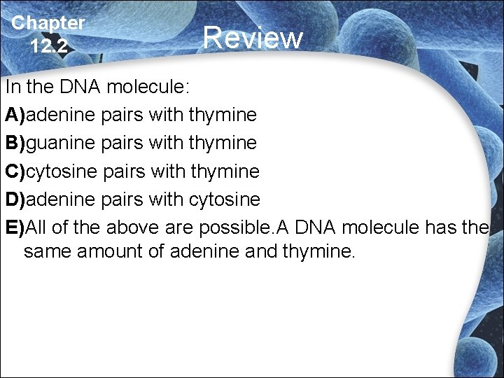Chapter 12. 2 Review In the DNA molecule: A)adenine pairs with thymine B)guanine pairs Chapter 12. 2 Review In the DNA molecule: A)adenine pairs with thymine B)guanine pairs