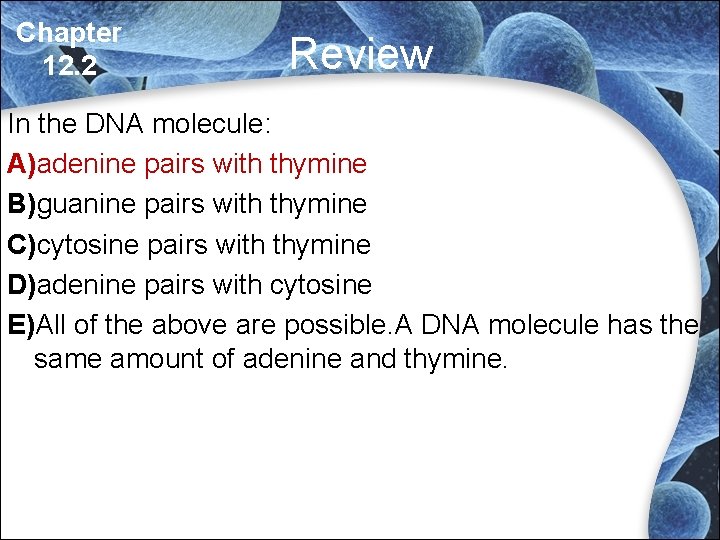 Chapter 12. 2 Review In the DNA molecule: A)adenine pairs with thymine B)guanine pairs Chapter 12. 2 Review In the DNA molecule: A)adenine pairs with thymine B)guanine pairs