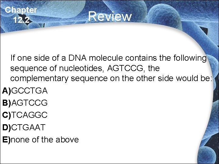 Chapter 12. 2 Review If one side of a DNA molecule contains the following Chapter 12. 2 Review If one side of a DNA molecule contains the following