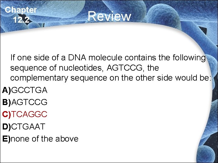 Chapter 12. 2 Review If one side of a DNA molecule contains the following Chapter 12. 2 Review If one side of a DNA molecule contains the following