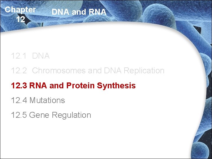 Chapter 12 DNA and RNA 12. 1 DNA 12. 2 Chromosomes and DNA Replication Chapter 12 DNA and RNA 12. 1 DNA 12. 2 Chromosomes and DNA Replication