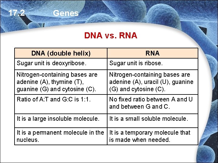 17. 2 Genes DNA vs. RNA DNA (double helix) RNA Sugar unit is deoxyribose. 17. 2 Genes DNA vs. RNA DNA (double helix) RNA Sugar unit is deoxyribose.