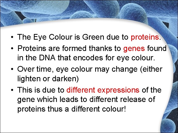 • The Eye Colour is Green due to proteins. • Proteins are formed • The Eye Colour is Green due to proteins. • Proteins are formed