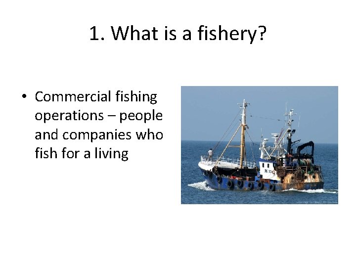 1. What is a fishery? • Commercial fishing operations – people and companies who
