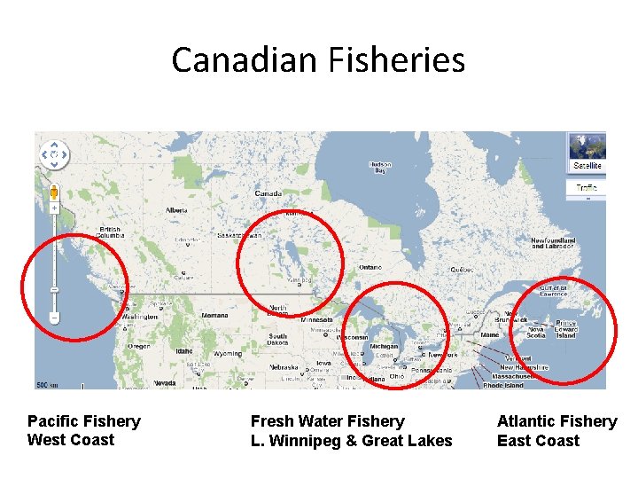 Canadian Fisheries Pacific Fishery West Coast Fresh Water Fishery L. Winnipeg & Great Lakes