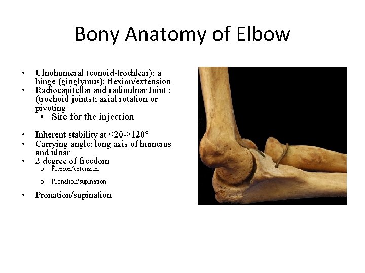 Bony Anatomy of Elbow • • Ulnohumeral (conoid-trochlear): a hinge (ginglymus): flexion/extension Radiocapitellar and