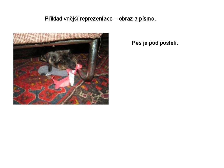Příklad vnější reprezentace – obraz a písmo. Pes je pod postelí. 