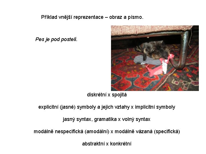 Příklad vnější reprezentace – obraz a písmo. Pes je pod postelí. diskrétní x spojitá