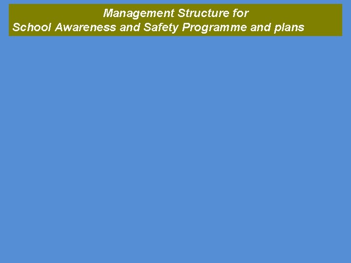 Management Structure for School Awareness and Safety Programme and plans 