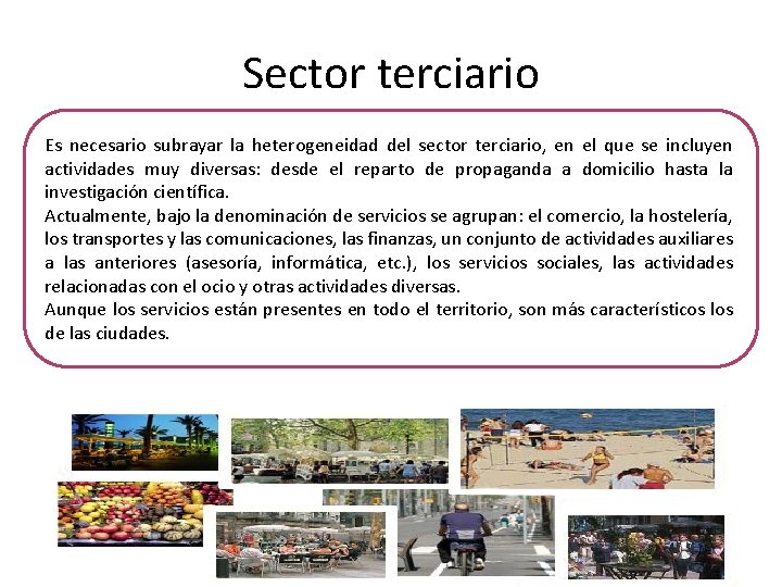 Sector terciario Es necesario subrayar la heterogeneidad del sector terciario, en el que se