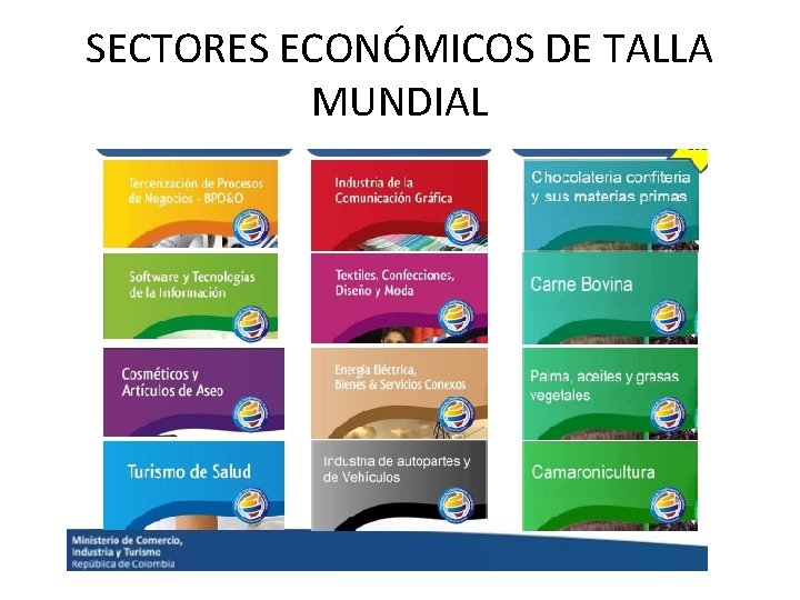 SECTORES ECONÓMICOS DE TALLA MUNDIAL 