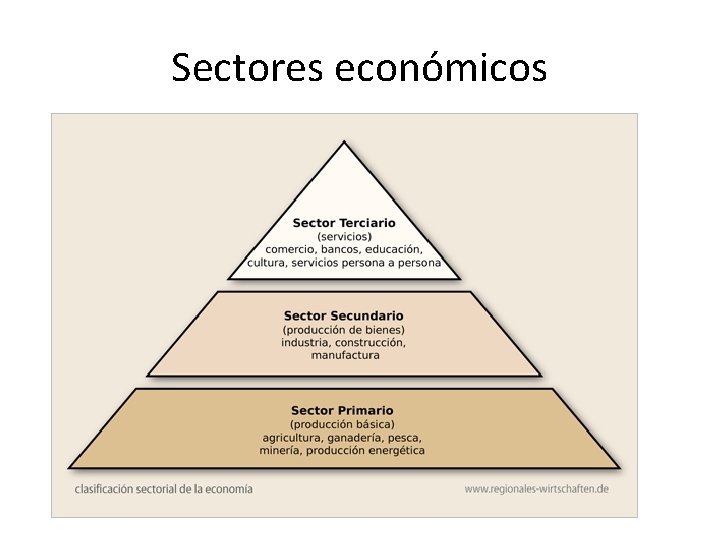 Sectores económicos 